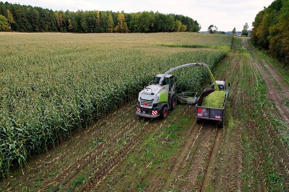 Agriculture Industry